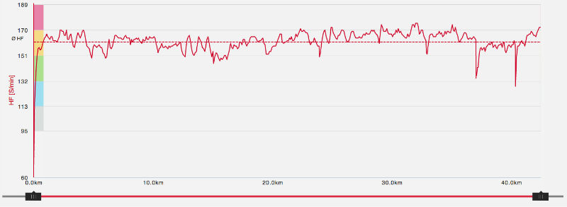 Herzfrequenz Polar H7 Burgwald Marathon