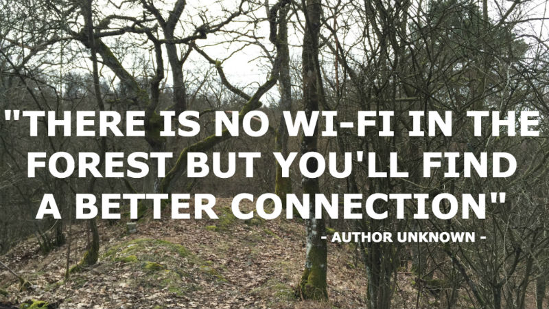 Quote, There is no Wi-Fi in the forest but you'll find a better connection