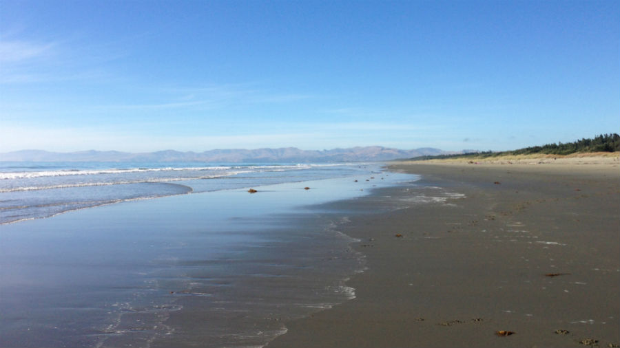 Spencer Beach, Neuseeland, Jogging Sucks